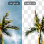 How to Achieve Amazon-Compliant Images with Background Removal Tools